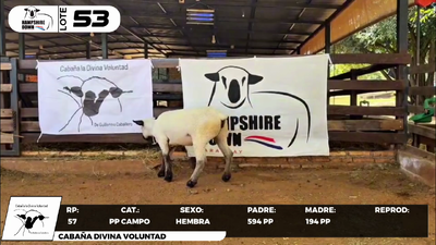 Lote LOTE 53- CAMPO