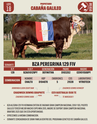 Lote LOTE 18