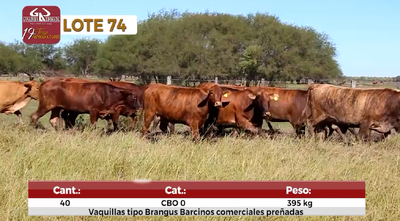 Lote Reproductores de Alborada - Lote 74