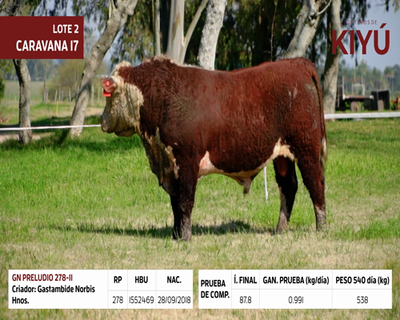 Lote GN PRELUDIO 278-11