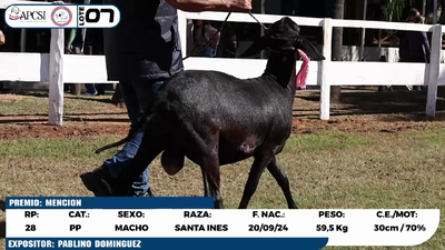 Lote LOTE 7