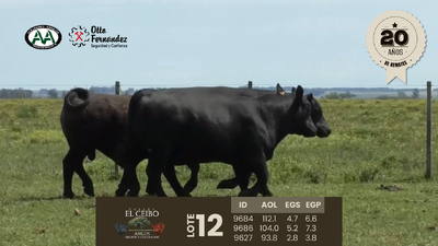 Lote 3 Toros, Artigas