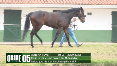 Lote Lote 5