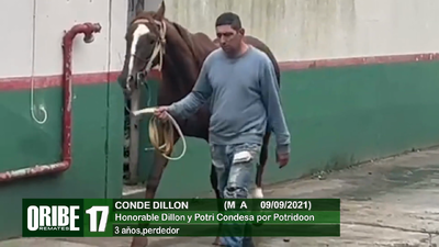 Lote Lote 17