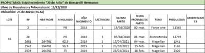 Lote Lote 16
