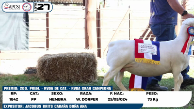 Lote LOTE 27