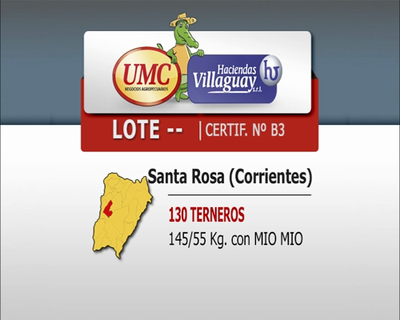 Lote 130 Terneros en Col. Sta Rosa, Corrientes