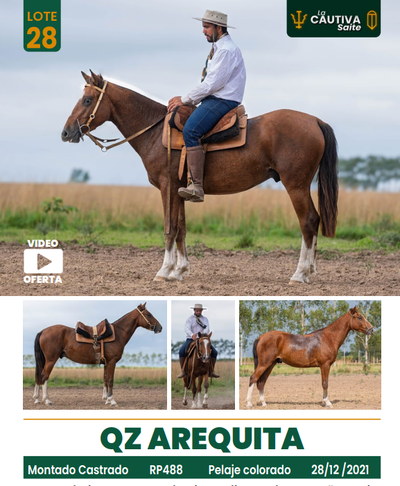 Lote LOTE 28