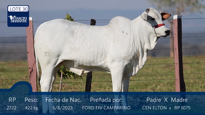 Lote LOTE 30- DESTAQUE