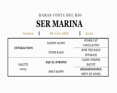 Lote SER MARINA (INTERACTION - SALUTI)
