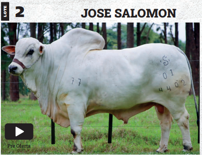 Lote LOTE 2 - PREÑECES