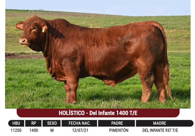 Lote "CABAÑA EL CORAJE" - HOLÍSTICO - Del Infante 1400 T/E