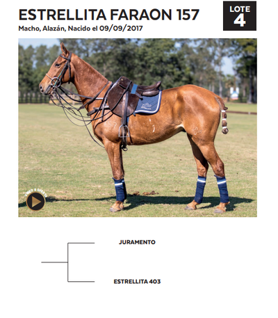 Lote LOTE 4