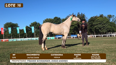 Lote LOTE 16