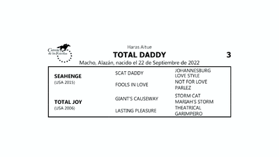 Lote TOTAL DADDY (SEAHENGE -  TOTAL JOY por GIANT’S CAUSEWAY)