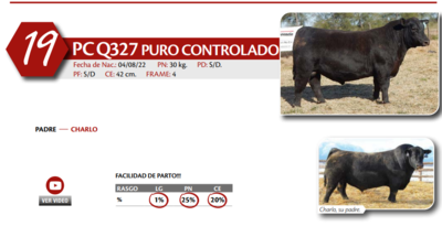 Lote MACHO PP