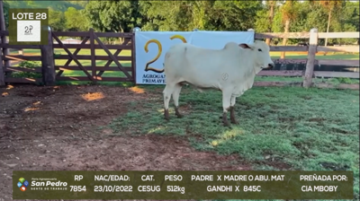 Lote LOTE 28