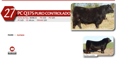 Lote MACHO PC