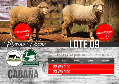 Lote LOTE 09