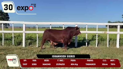 Lote LOTE 30