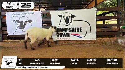 Lote LOTE 25- CAMPO
