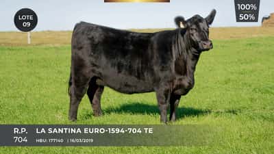 Lote LA SANTINA EURO-1594-704 TE