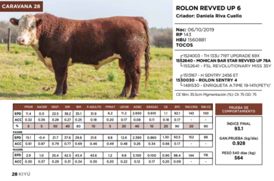 Lote ROLON REVVED UP 6  (GRUPO 2)