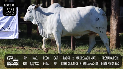Lote LOTE 8