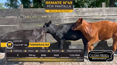 Lote 5 Terneros y Terneras en Paso Antolín, Colonia