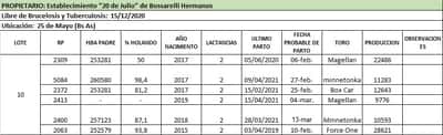 Lote Lote 10