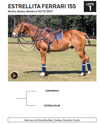 Lote LOTE 1