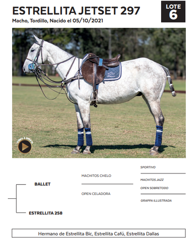 Lote LOTE 6