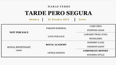 Lote TARDE PERO SEGURA (NOT FOR SALE - ROYAL SWEETHEART)