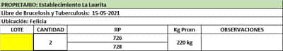 Lote Giovenale Jorge bis