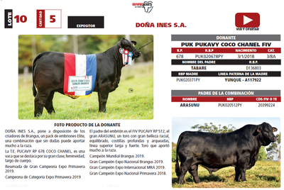Lote LOTE 10