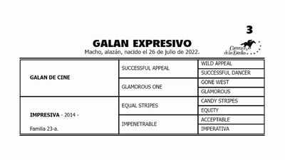 Lote GALAN EXPRESIVO (GALAN DE CINE - IMPRESIVA por EQUAL STRIPES)