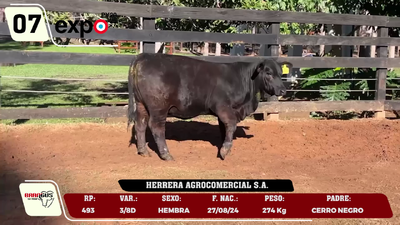 Lote LOTE 7