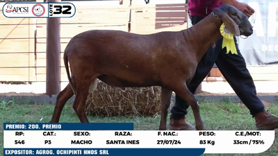 Lote LOTE 32