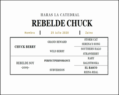 Lote REBELDE CHUCK (CHUCK BERRY - REBELDE SOY)