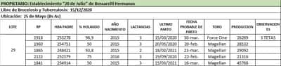 Lote Lote 29
