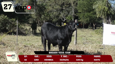 Lote LOTE 27
