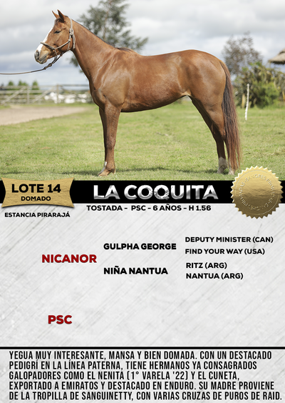 Lote LA COQUITA