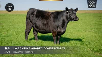 Lote LA SANTINA APARECIDO-1594-702 TE