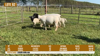Lote LOTE 62- DESTACADO