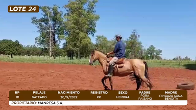 Lote LOTE 24- CAMPO