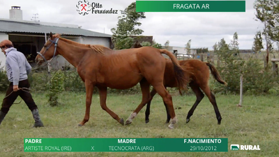 Lote FRAGATA AR