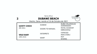 Lote DUBAWI BEACH (SAFETY CHECK -  WILD BABY por INTERPRETE)