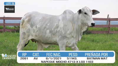 Lote LOTE 26