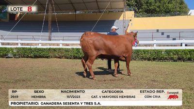 Lote LOTE 8