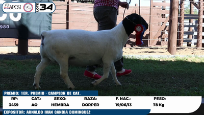 Lote LOTE 34